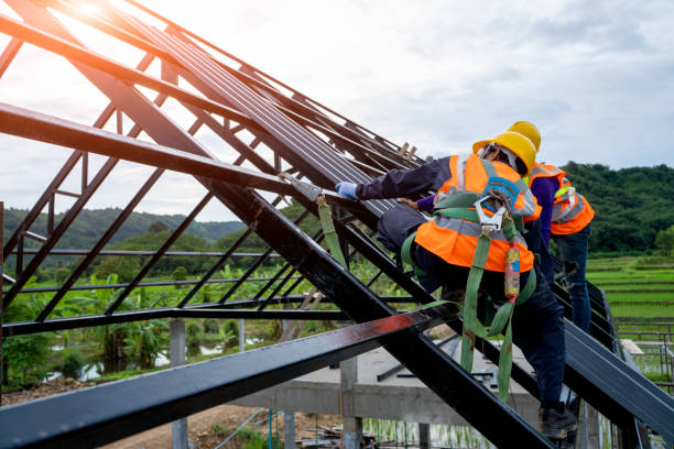 Best Roof Gutter Cleaning  in Roselawn, IN