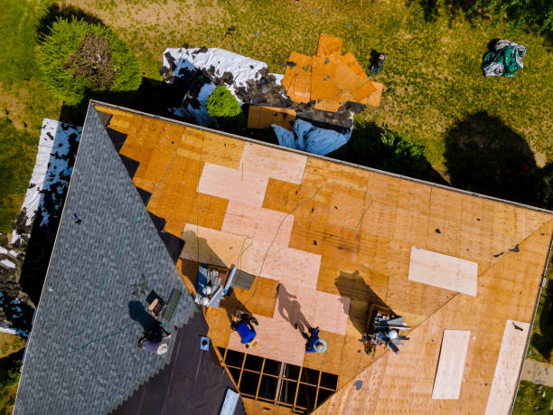 Best Flat Roof Repair Services  in Roselawn, IN